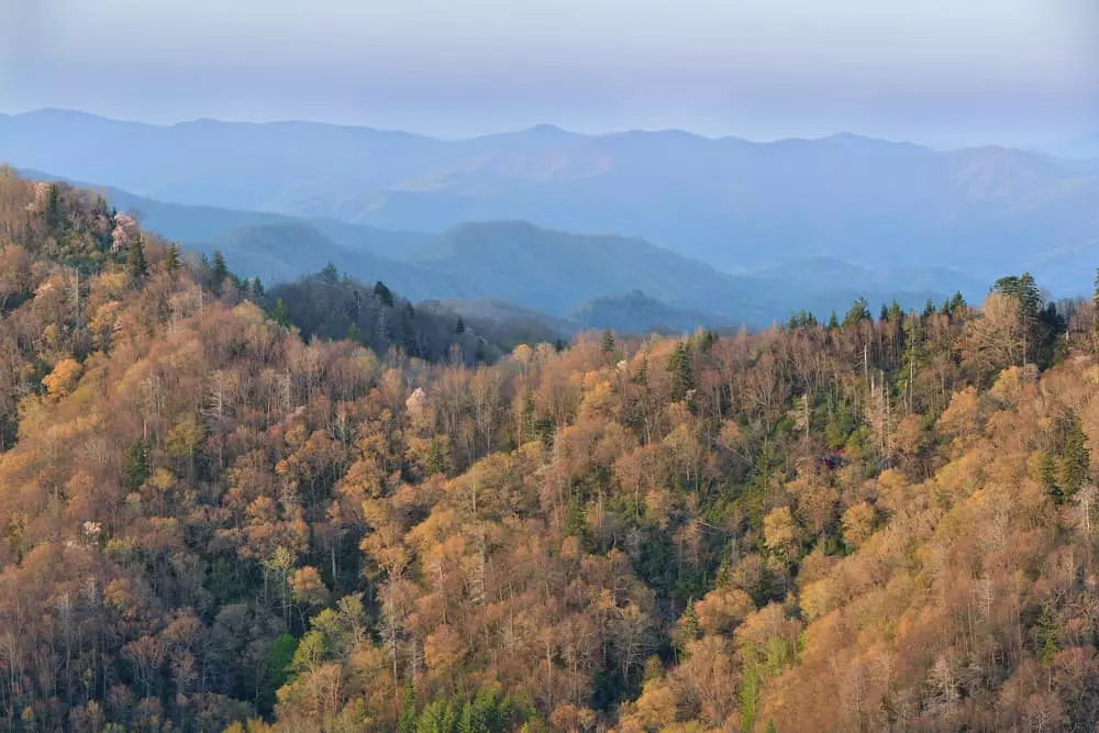 fall in the Smokies