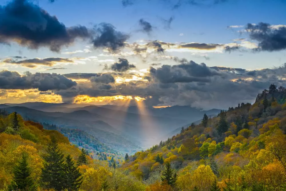 fall in the Smokies