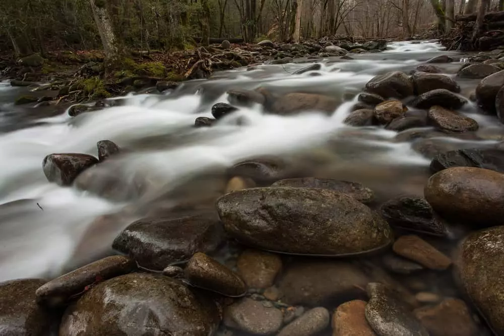 stream in the Smokies