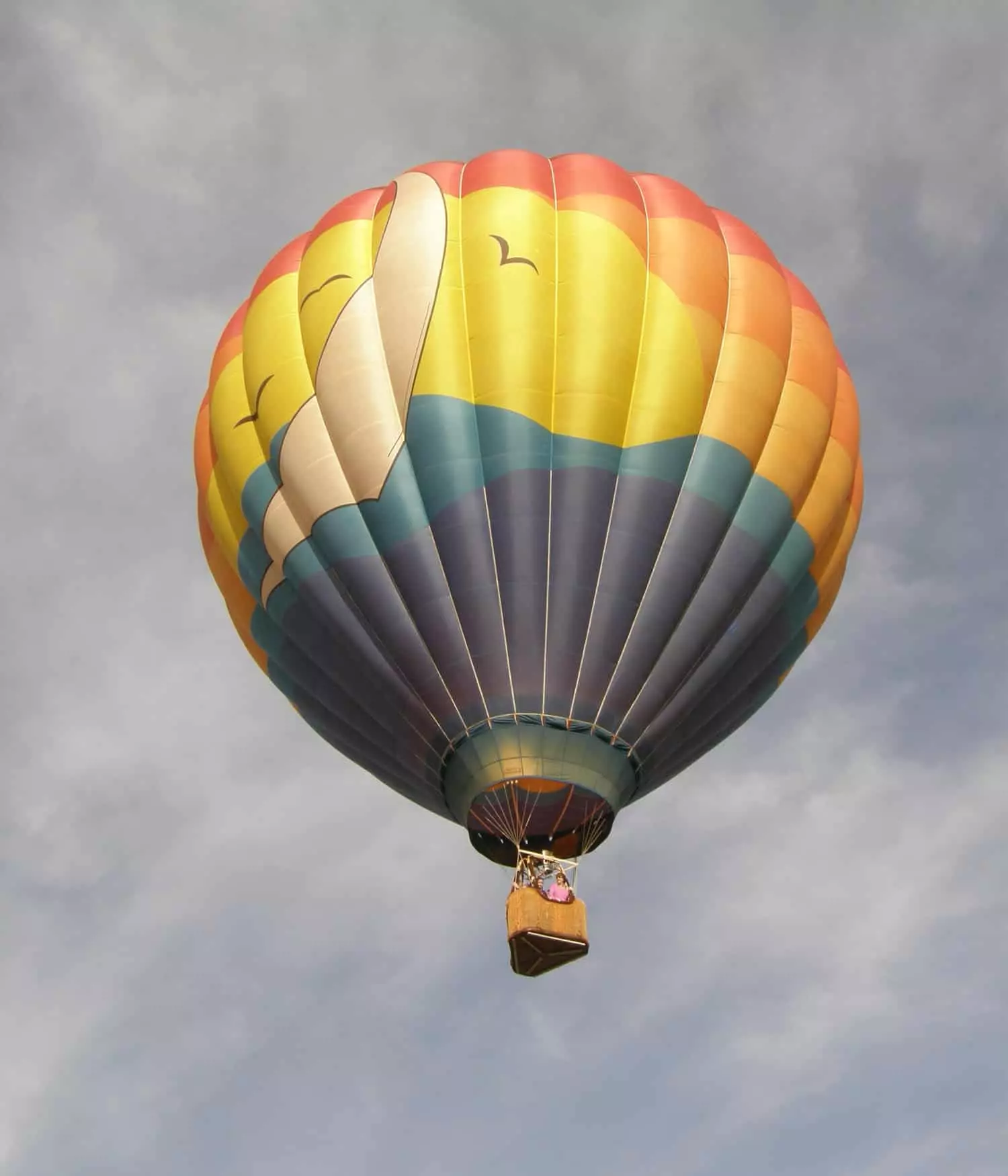 hot air balloon