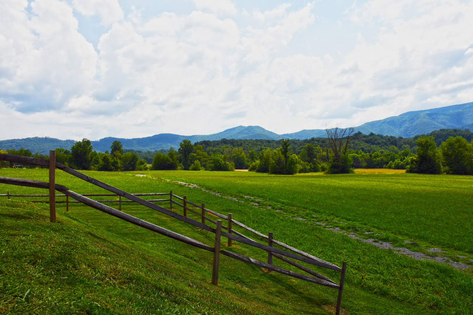 field in Wears Valley