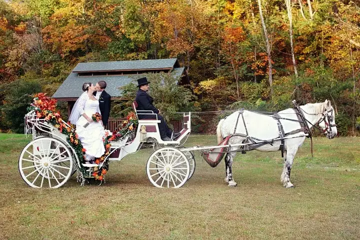 Eden Crest Wedding Packages and Planning