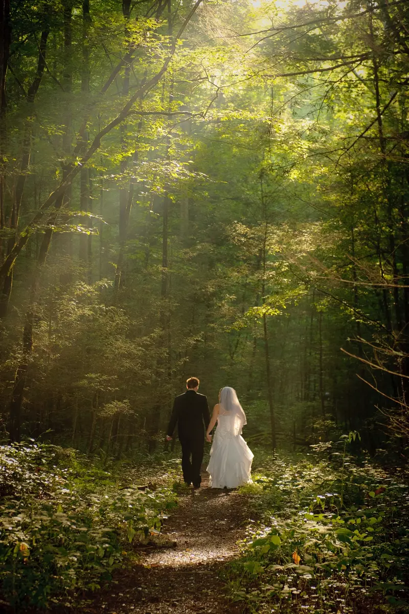 New Beginnings Photography