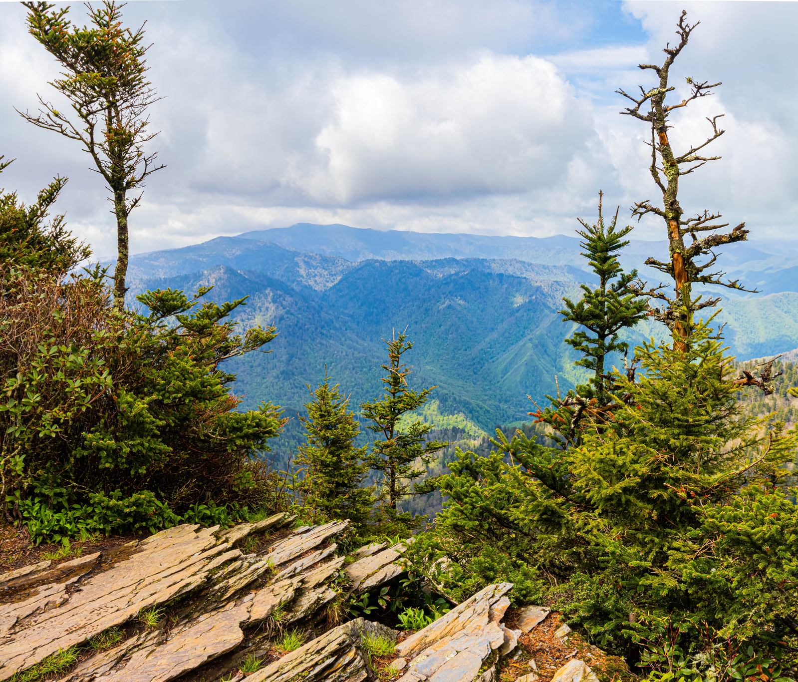 view from high up in the smokies