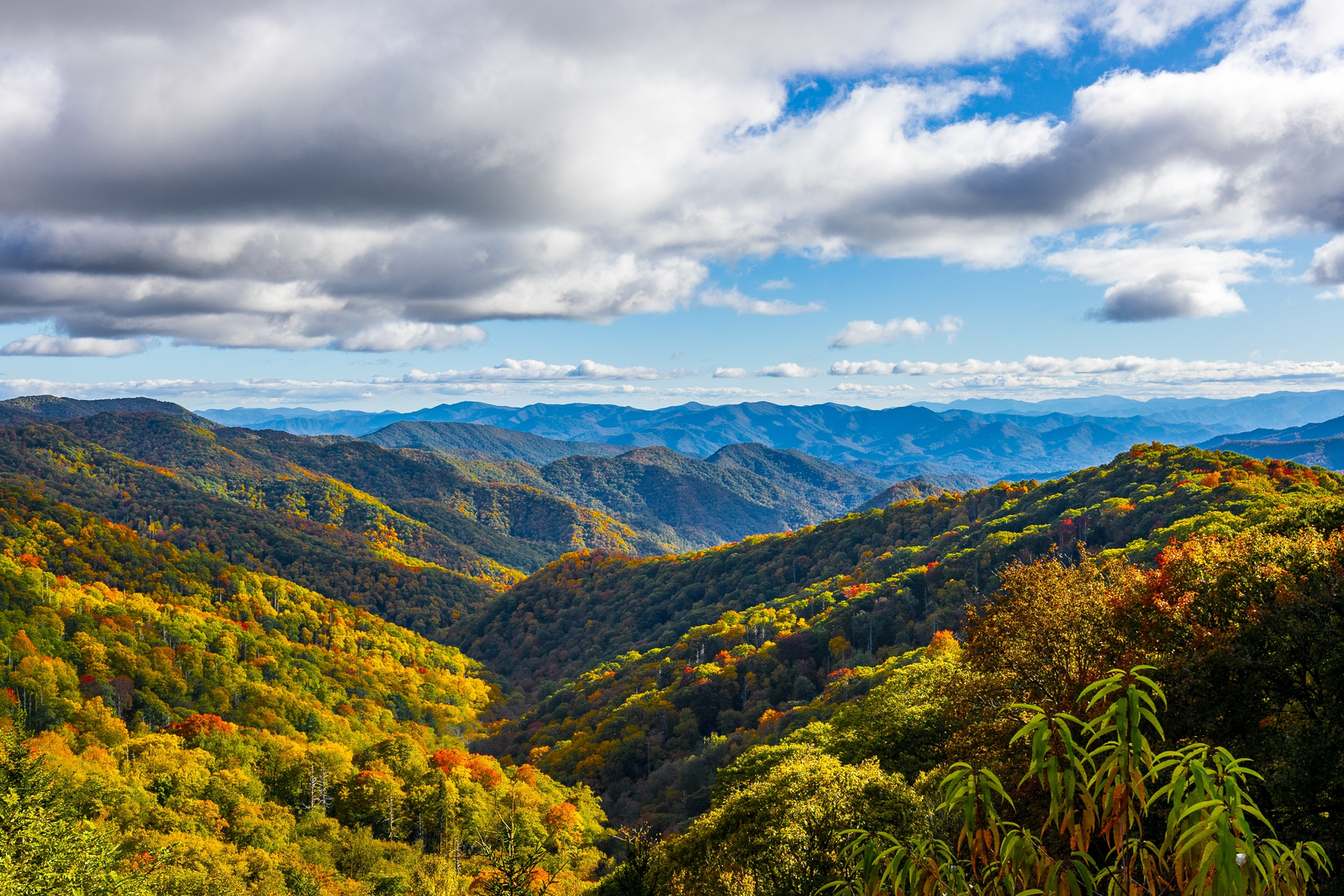Smokies during early fall