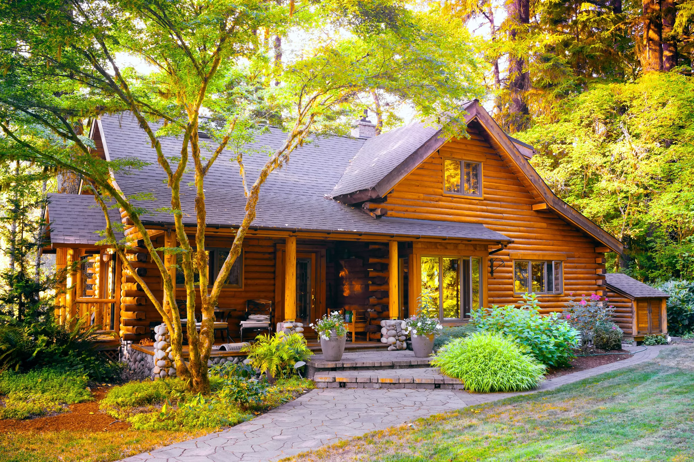 cabin in the Smoky Mountains
