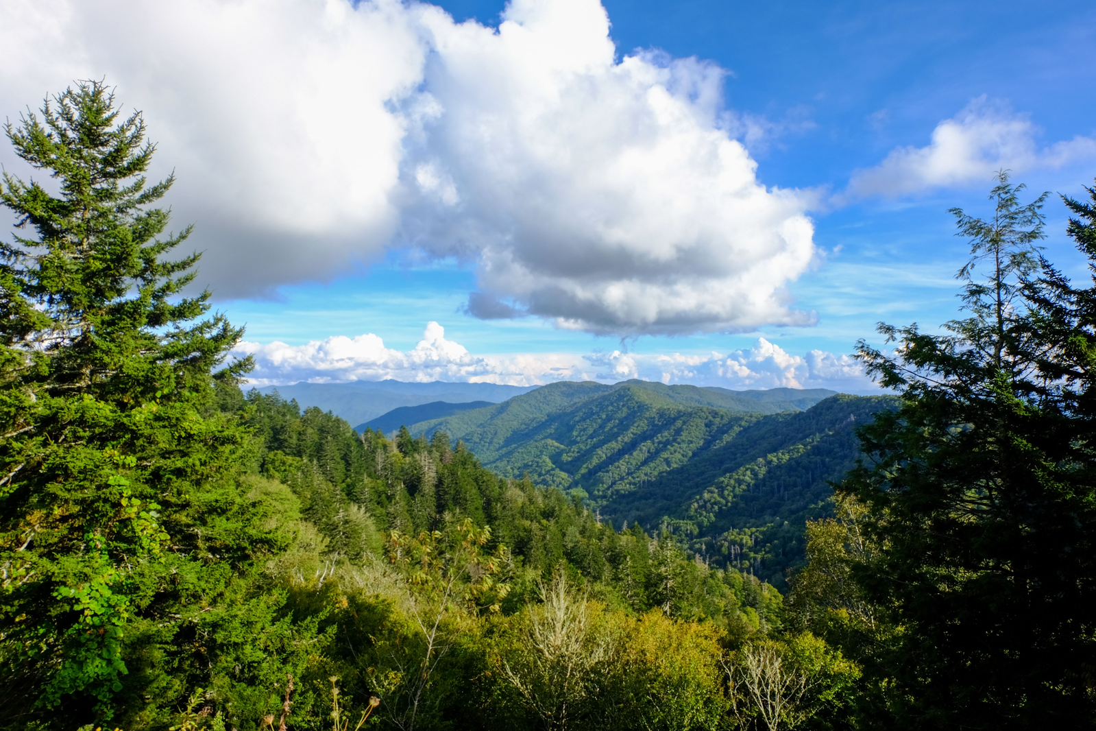 perfect weather in the smokies