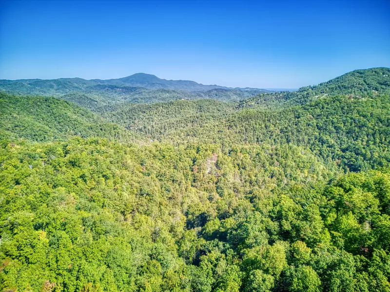 Blue Sky located in the Great Smoky Mountains