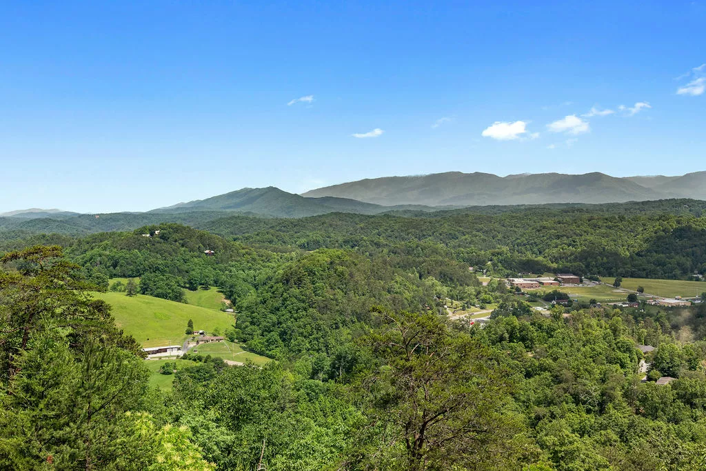 Bella Vista