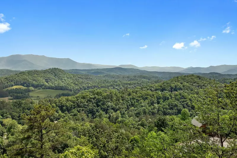 Bella Vista