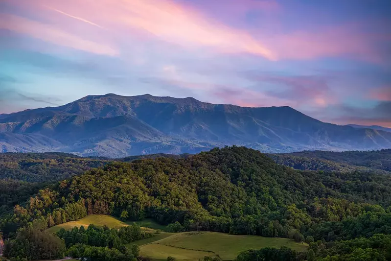 Bella Vista