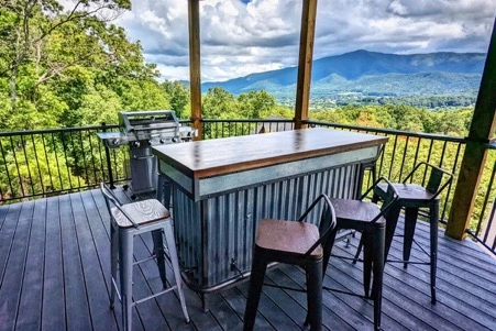 Sky Lodge @Teaberry Mountain