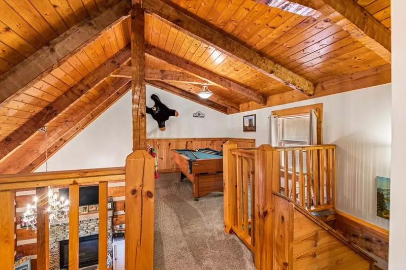 Black Bear's Den