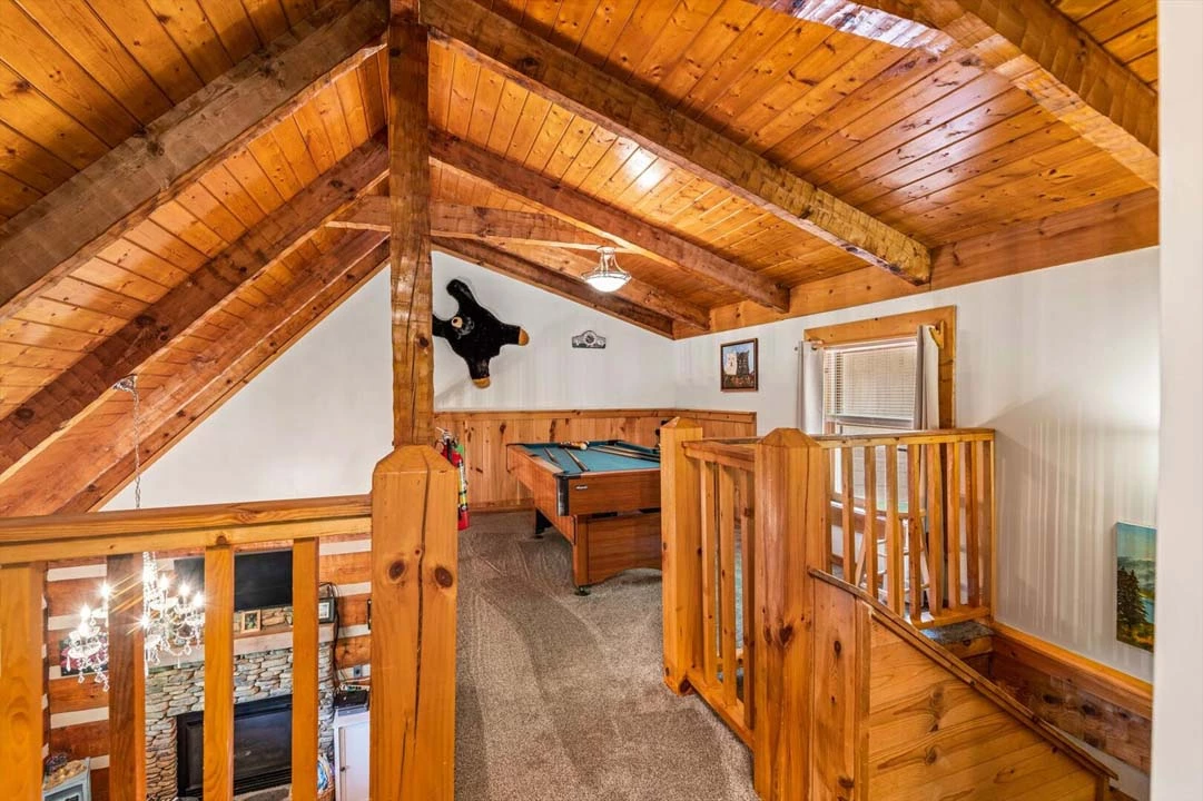 Black Bear's Den