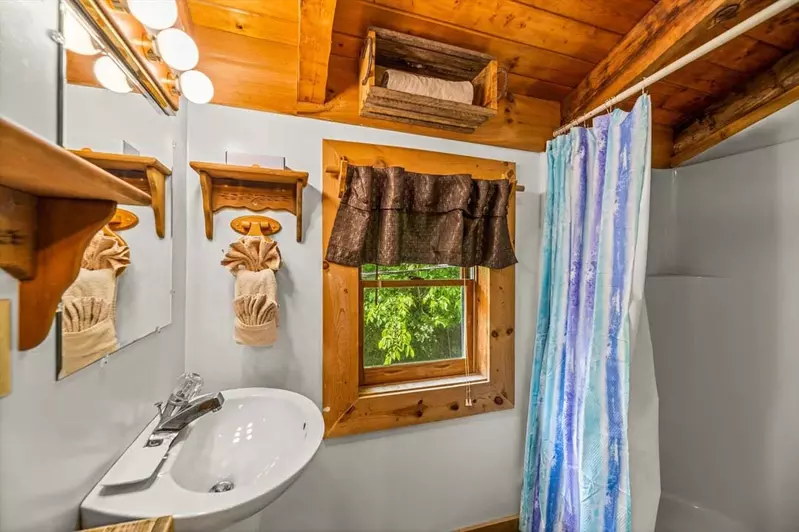 Black Bear's Den
