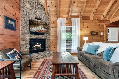 Cozy Bear Heaven