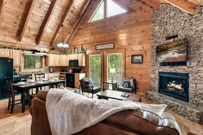 Cozy Bear Heaven