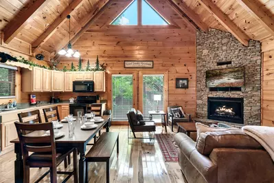 Cozy Bear Heaven