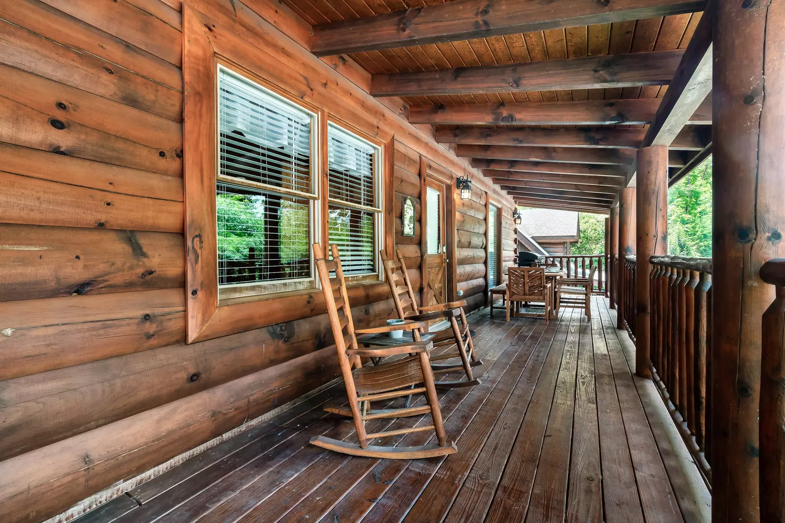 Cozy Bear Heaven