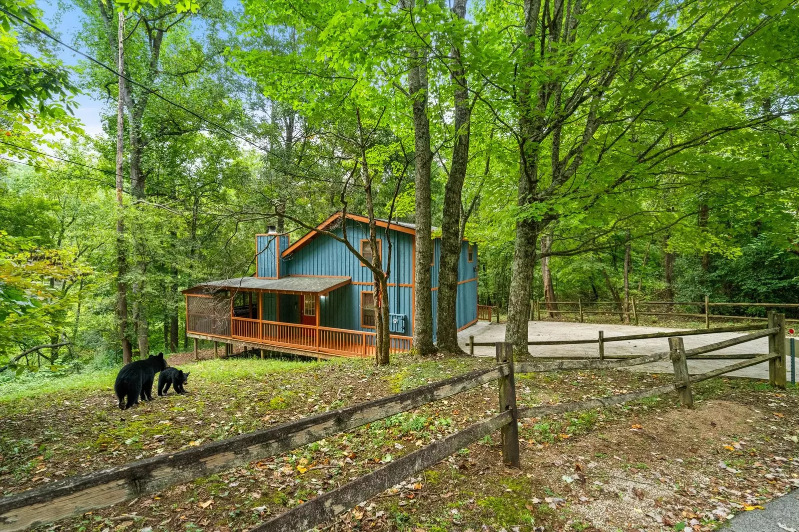 Dogwood Hideaway