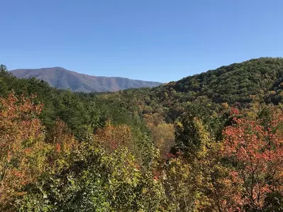 Happy Daze in the Valley