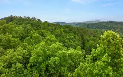 Huckleberry Inn