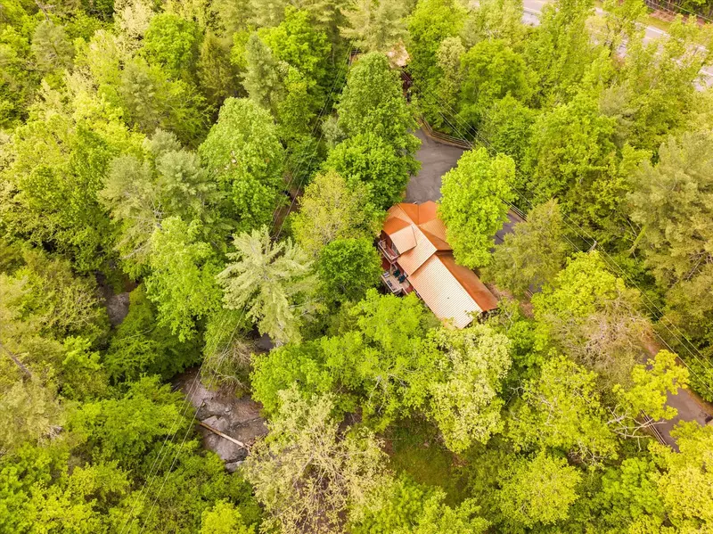 Keaton's Natures Dream