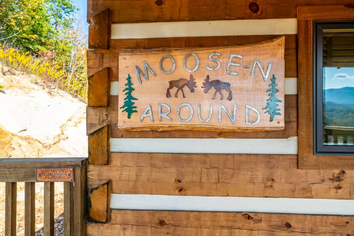 Moose-n Around