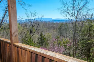 Mountain Breeze