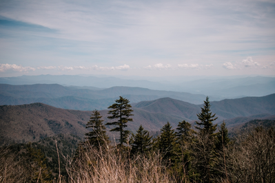 Smokies from up top