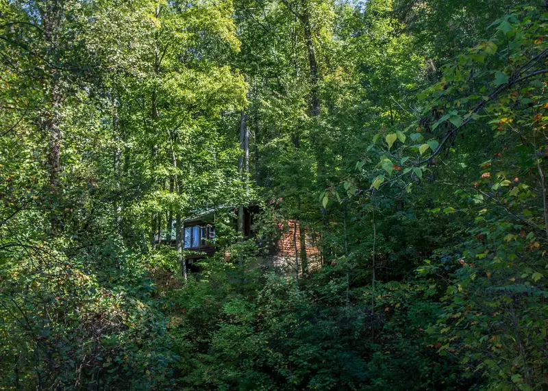  Nestled in the woods
