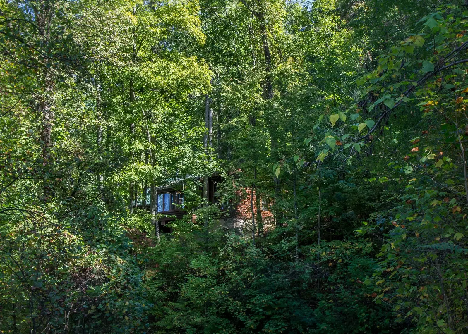  Nestled in the woods