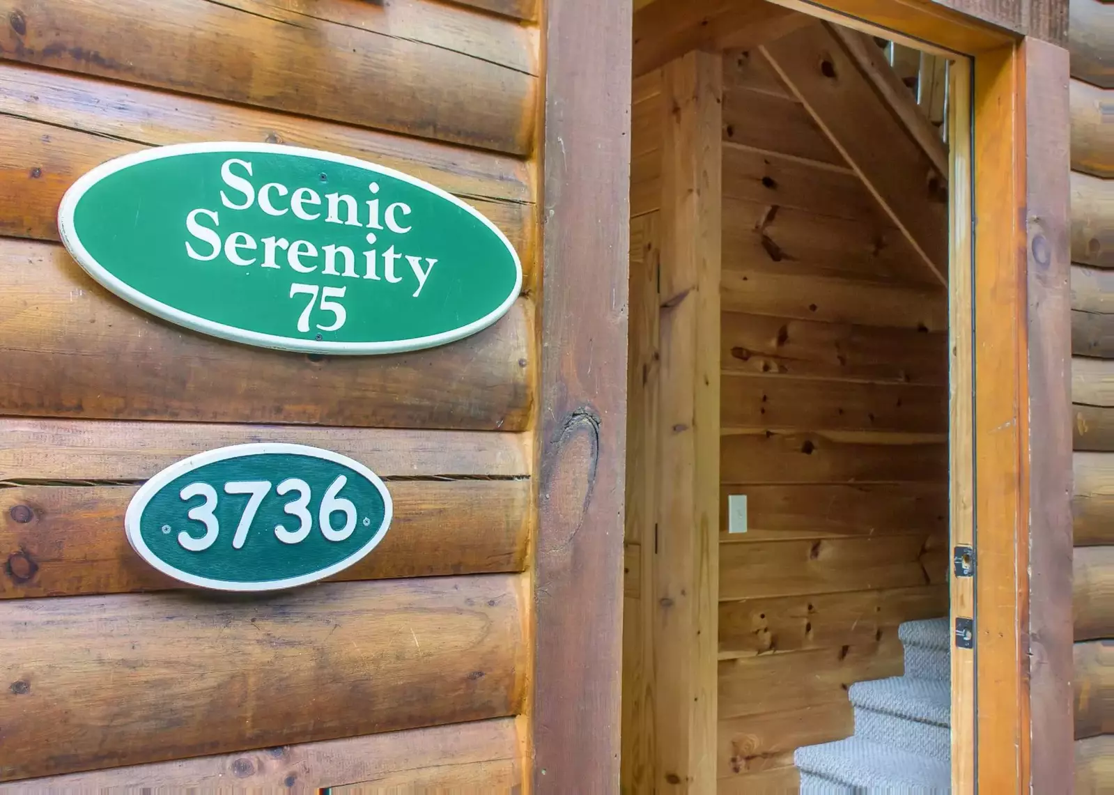 Scenic Serenity #75