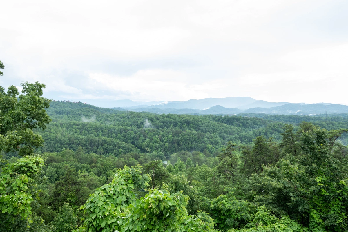 Tennessee Lodge