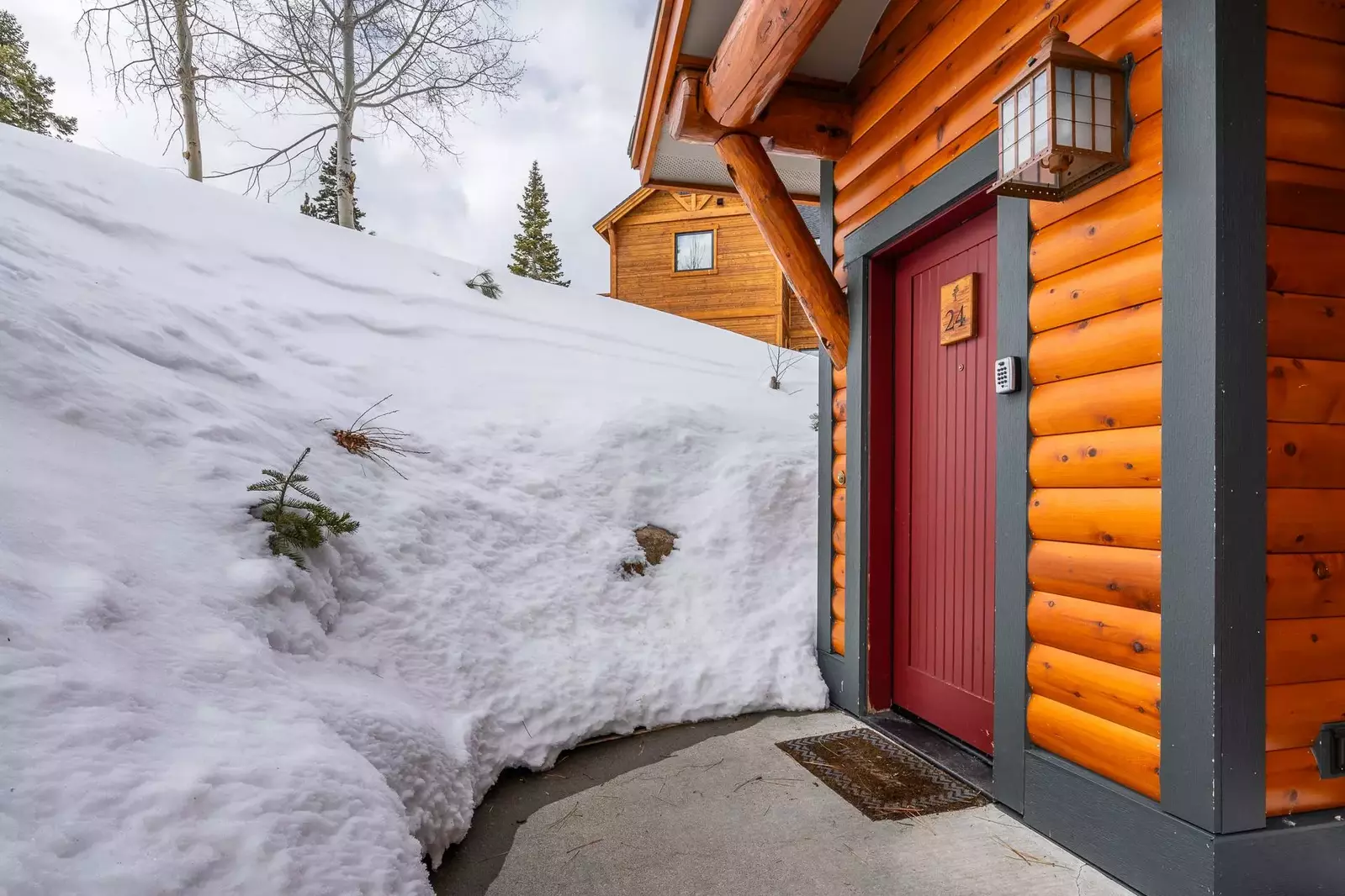 Cabins 24