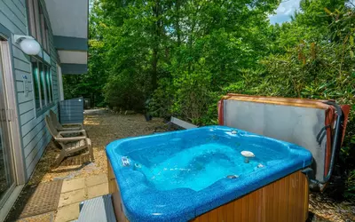 Black Bear Getaway