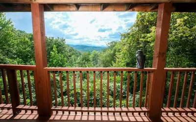 Redbird View