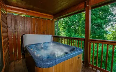 Snuggly Bear Cabin