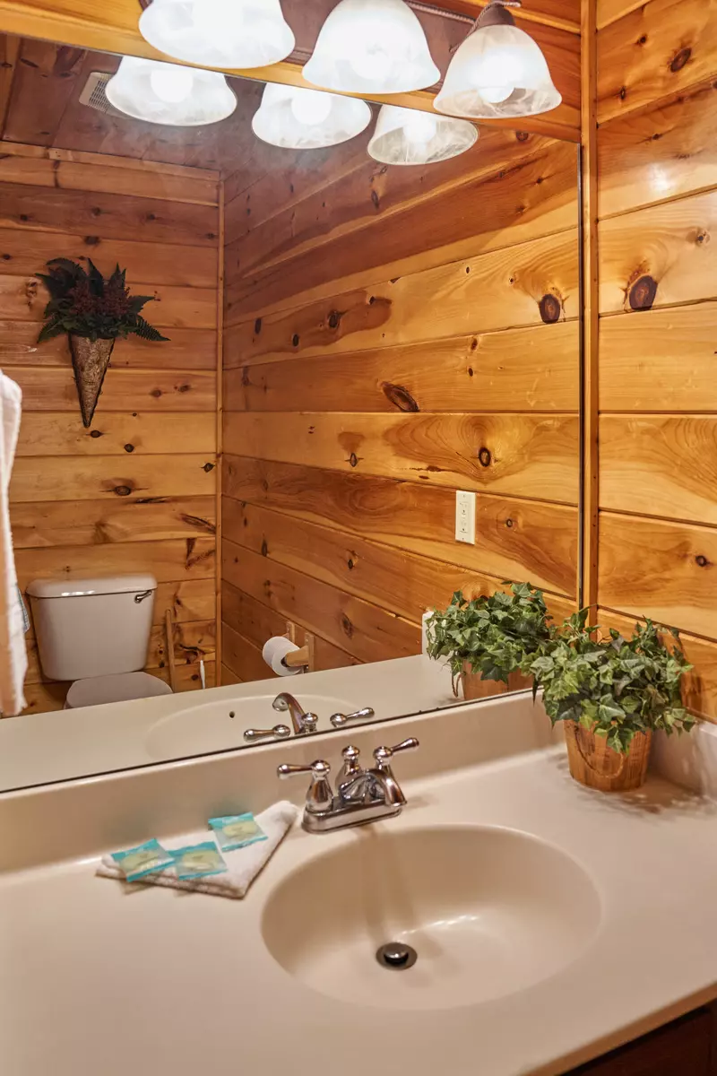 Property image, Interior, of Chalet D'Amour