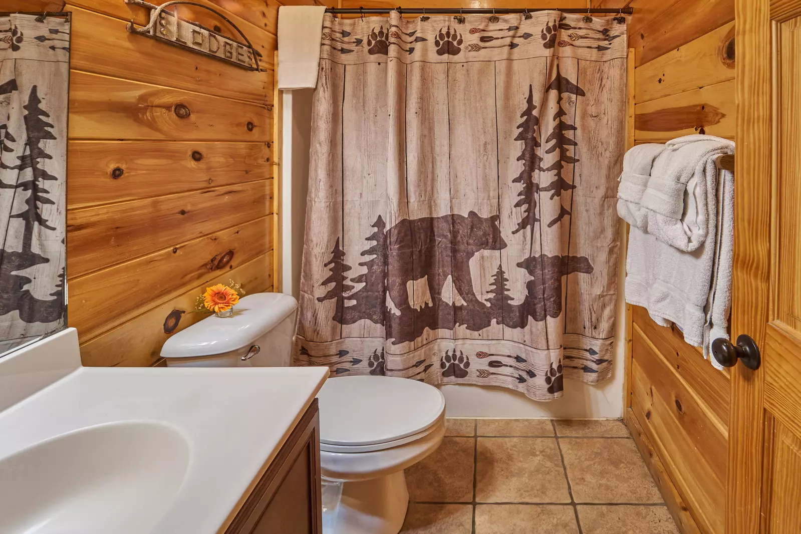 Property image, Interior, of Fire in the Sky