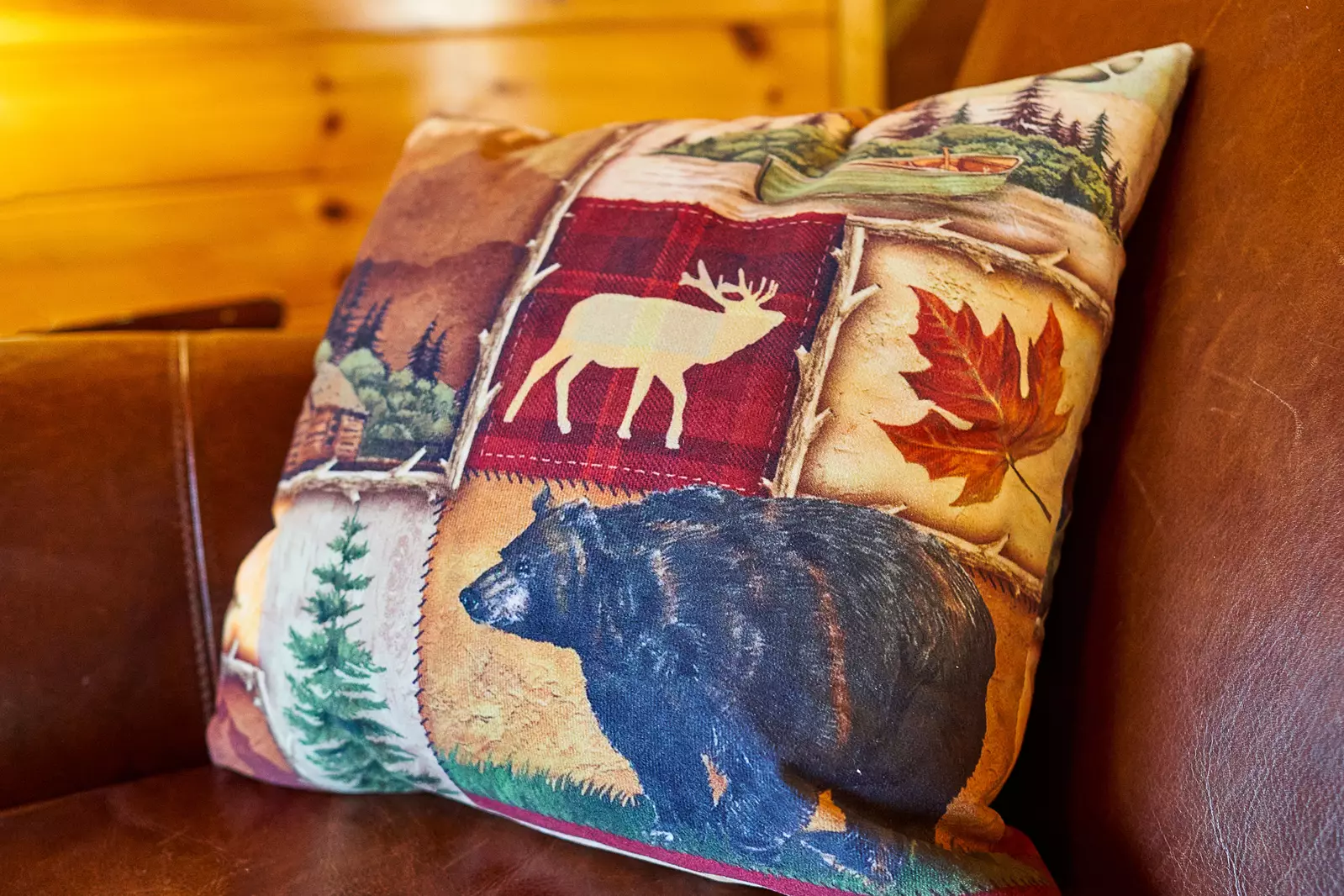Property image, Interior, of Sweet Dreams