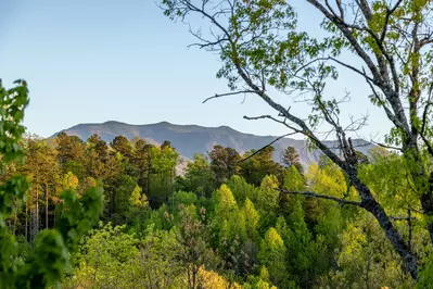 Property image, Interior, of Eagles Nest