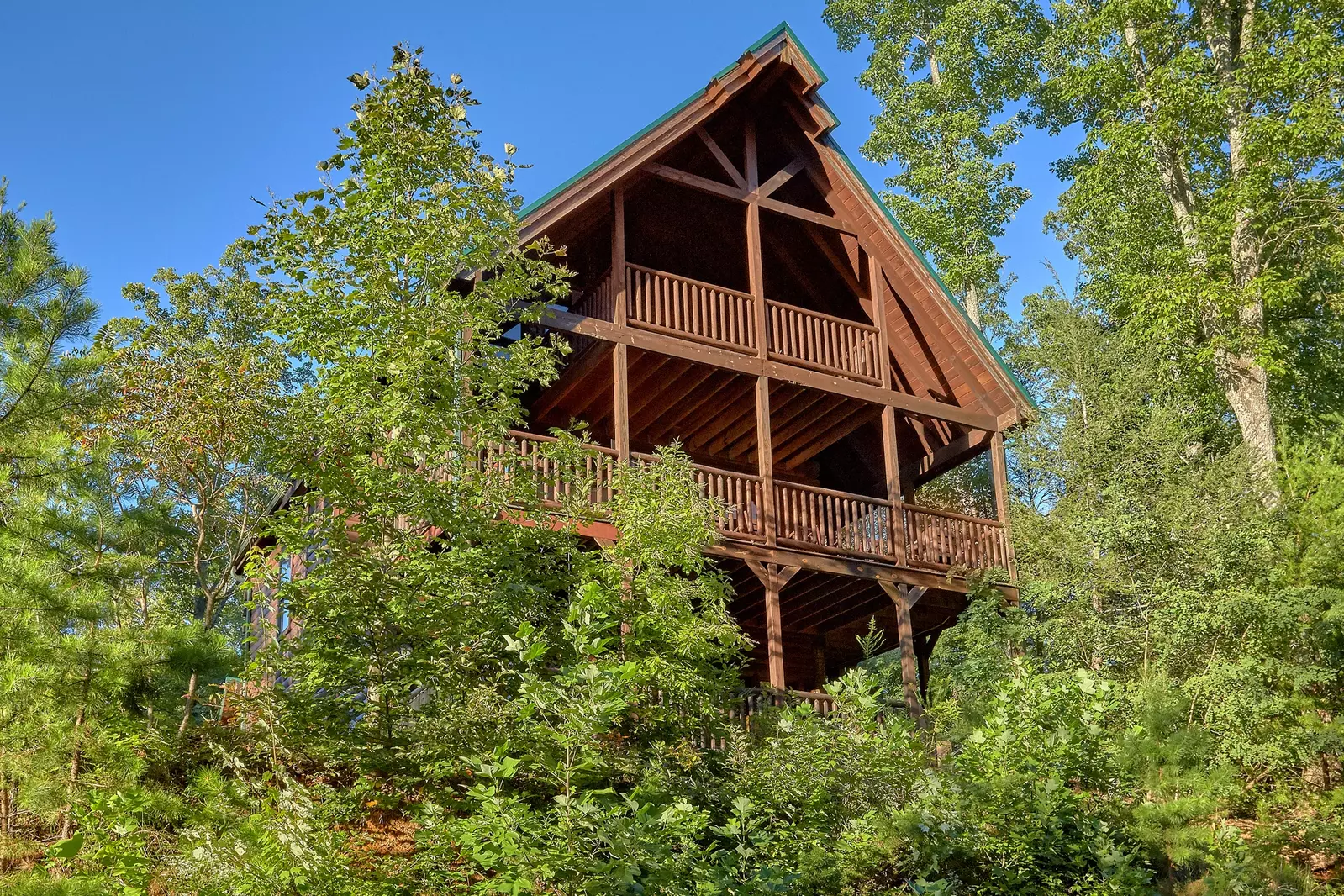 Property image, Interior, of Buckwild
