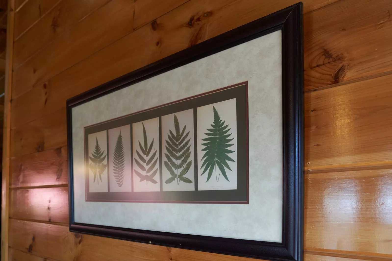 Property image, Interior, of Majestic Views