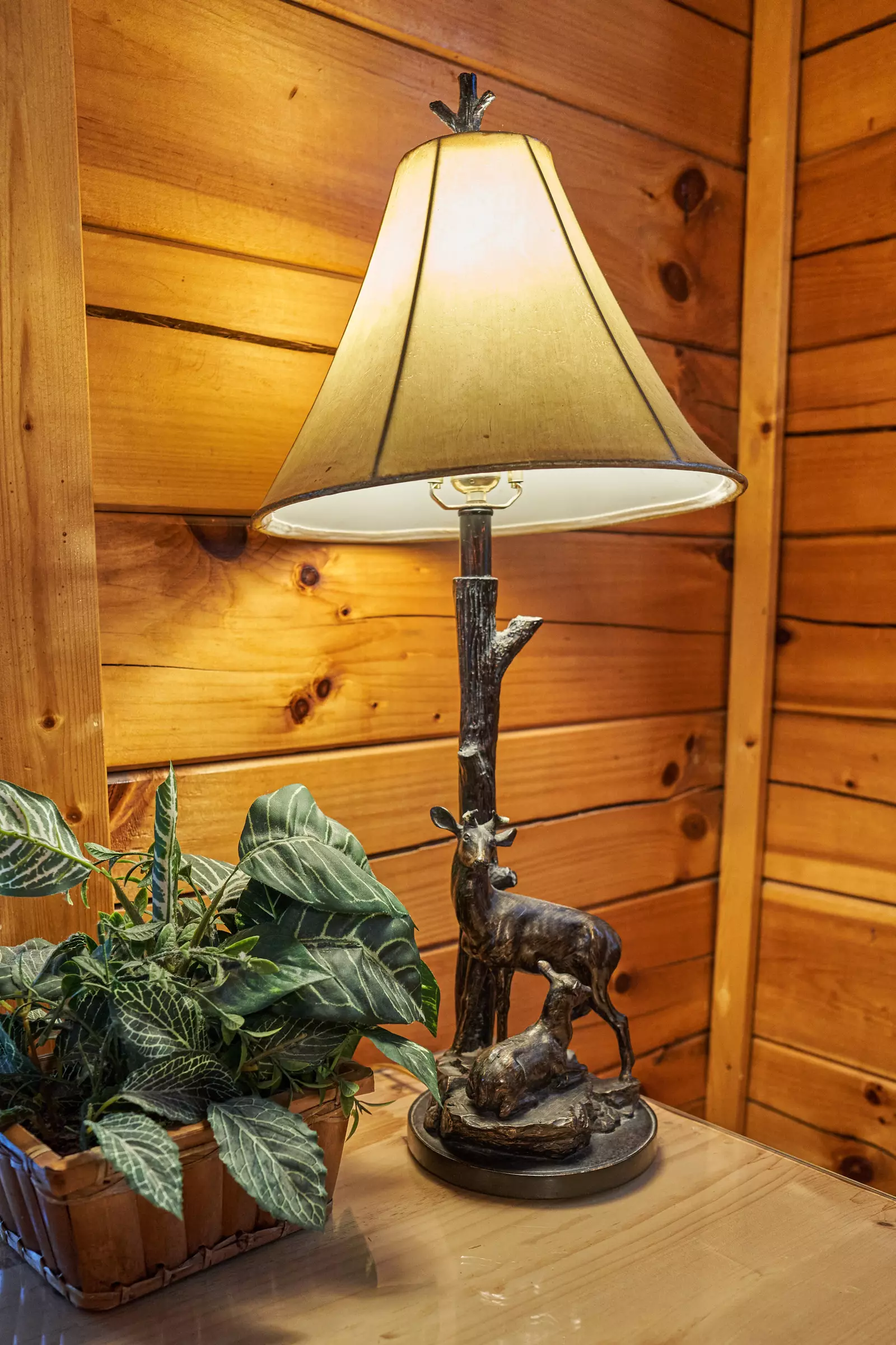 Property image, Interior, of A Secret Splash