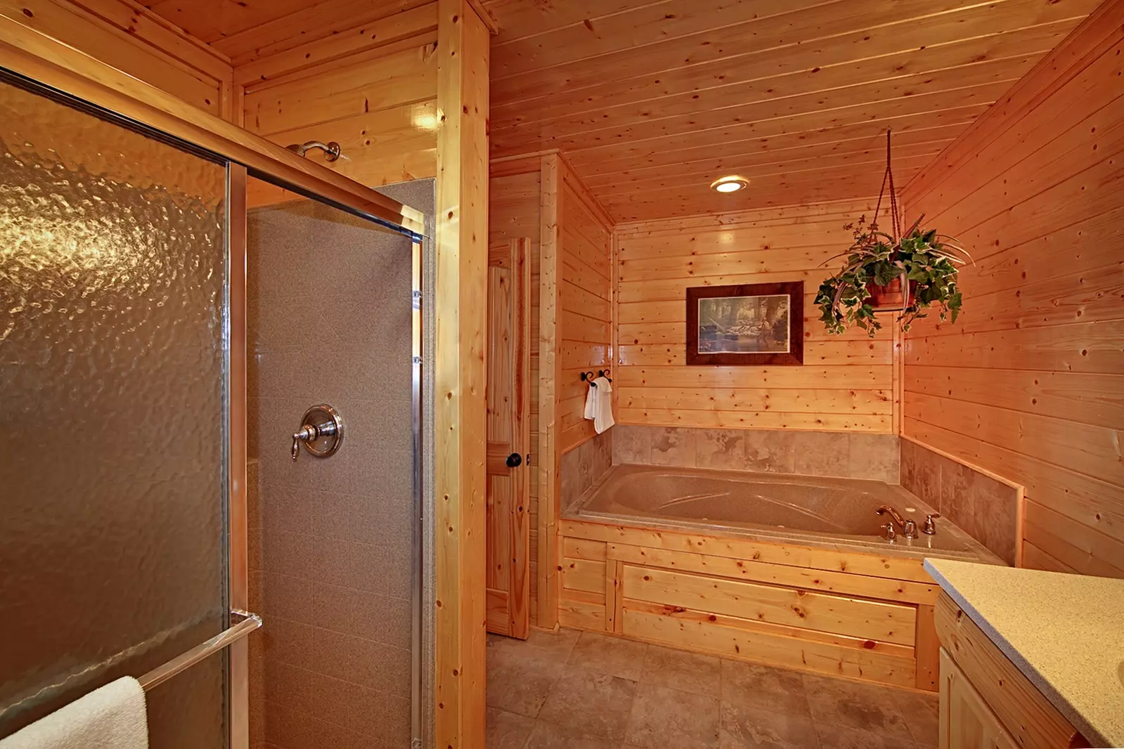 Property image, Interior, of Mountain Dreams (#104)