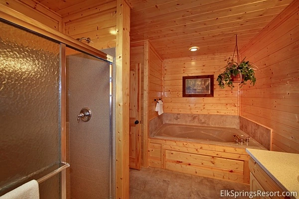 Property image, Interior, of Mountain Dreams (#104)