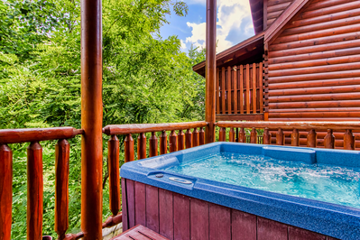 Property image, Interior, of Swimming in Paradise