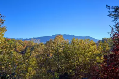 Moonshiners View