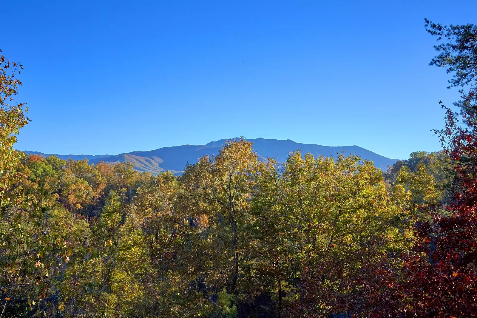 Property image, Exterior, of Moonshiners View